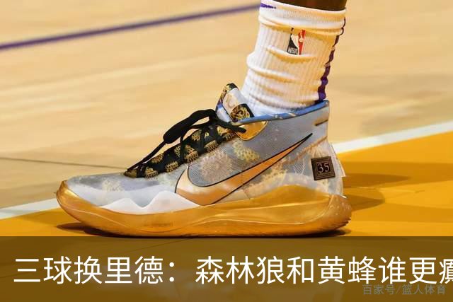 三球换里德：森林狼和黄蜂谁更癫？！